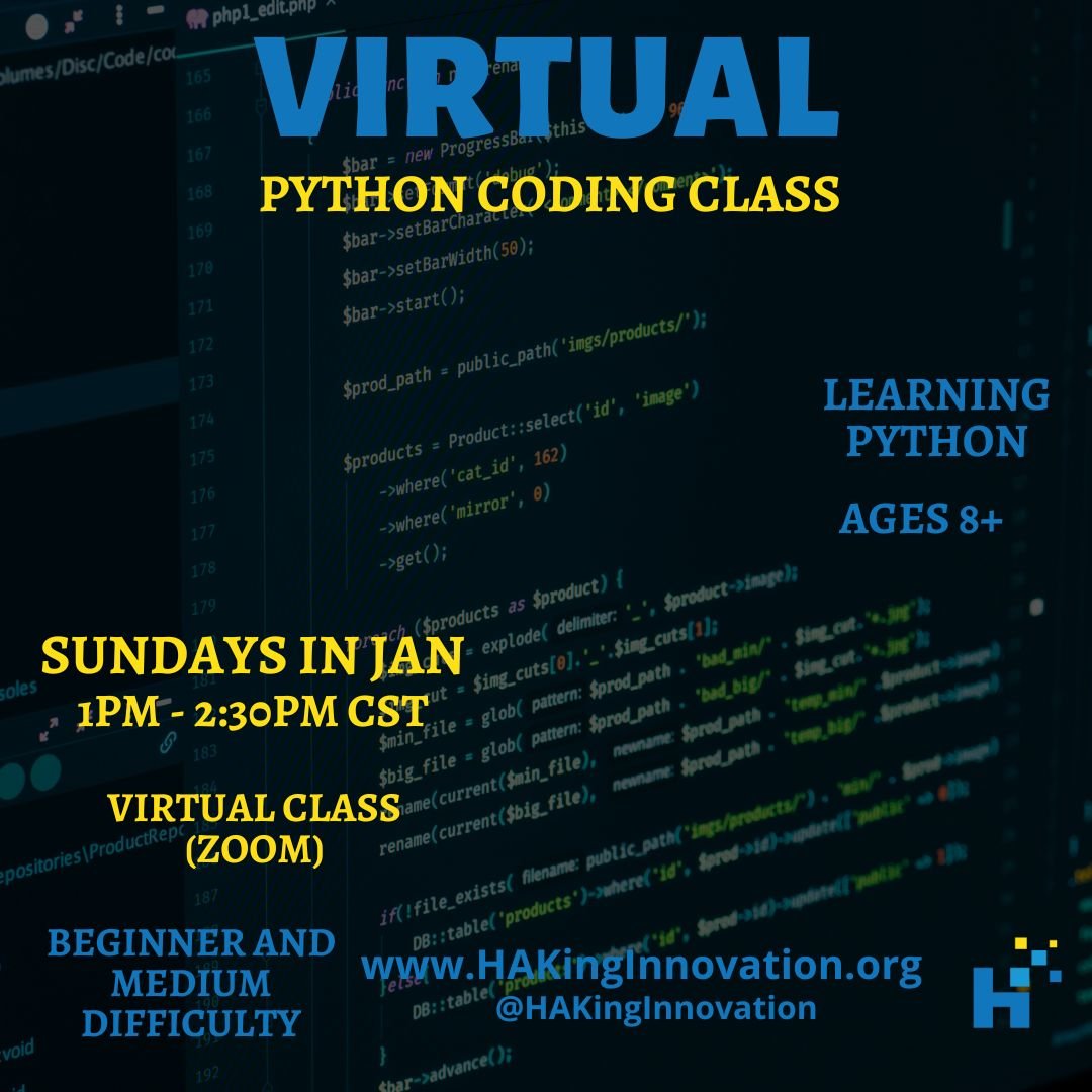Virtual Python Coding Class.jpg
